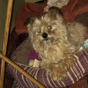 Meet your Posher, Kami